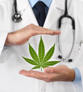 Cannabis Businesses for Sale/JV/Partnership