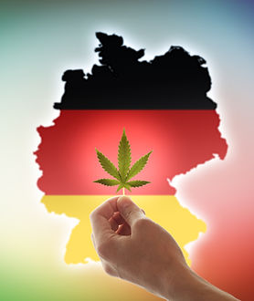 Merger & Acquisition Brokerage - Cannabis Businesses for Sale/JV/Partnership Opportunities