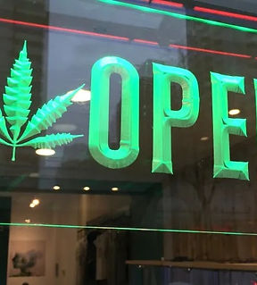 Cannabis Businesses for Sale/JV/Partnership