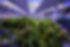Merger & Acquisition Brokerage - Cannabis Businesses for Sale/JV/Partnership Opportunities