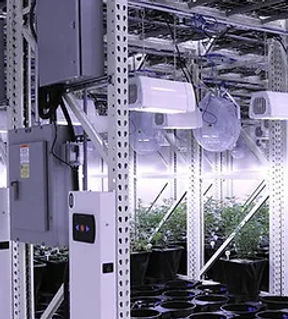 Cannabis Businesses for Sale/JV/Partnership
