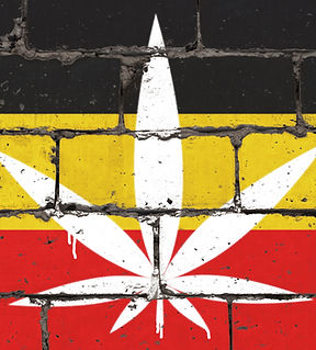 Cannabis Businesses for Sale/JV/Partnership
