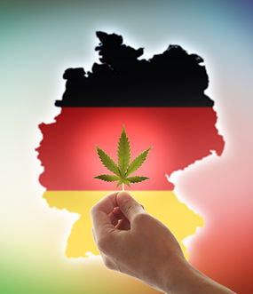 Cannabis Business New Featured Listing