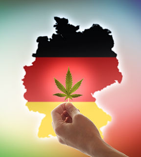 Cannabis Businesses for Sale/JV/Partnership