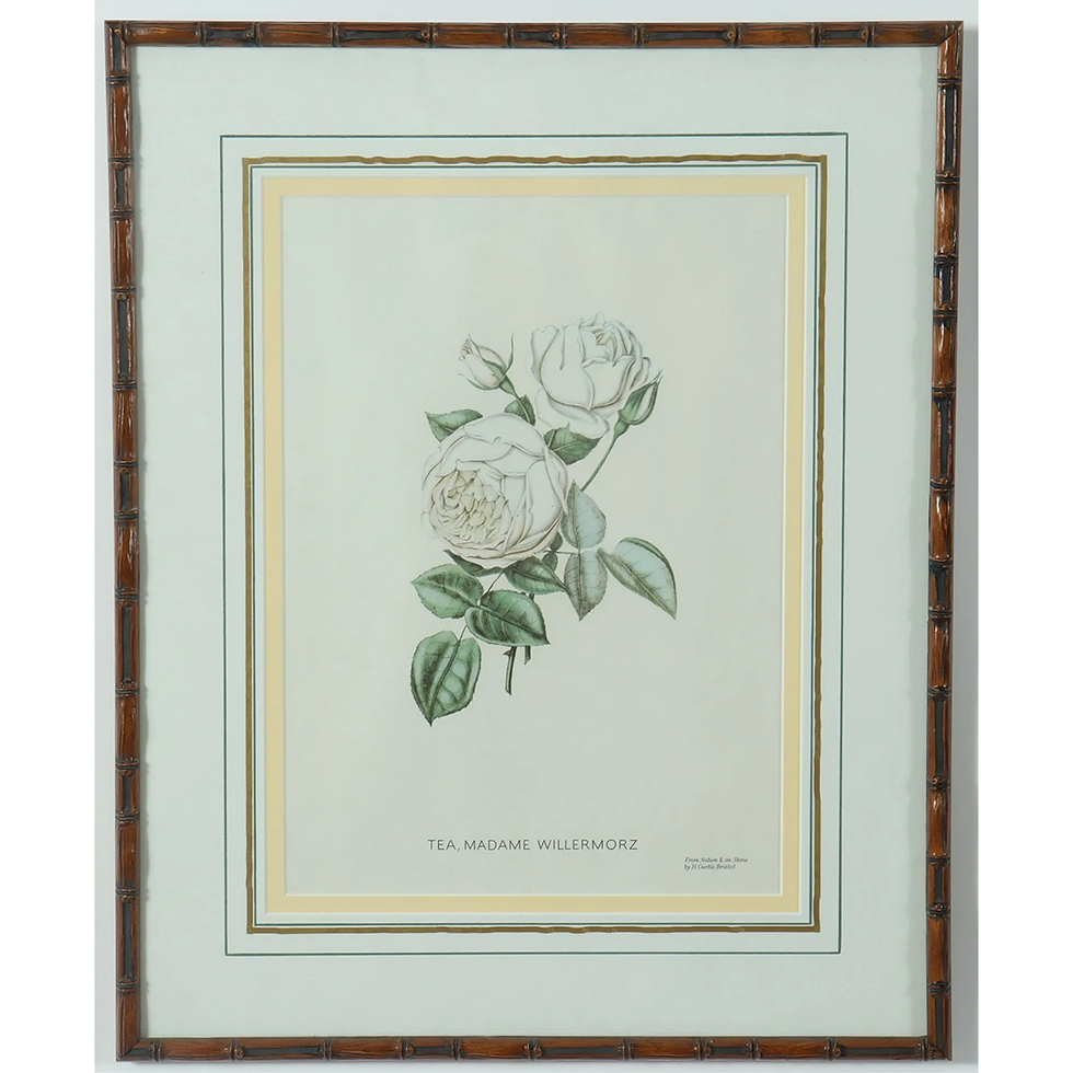 Thumbnail: Six Framed Rose Botanicals - Bamboo Styled frames