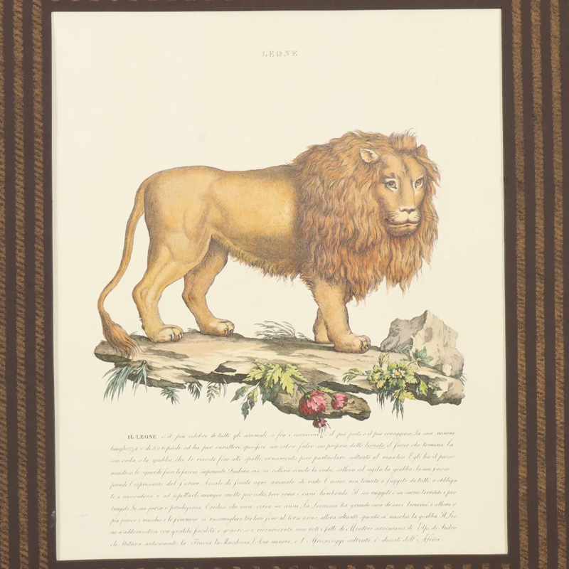 Thumbnail: Set of Three Italian Colored Animal Prints