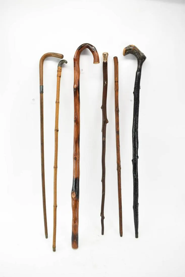 Six Assorted Wood and Bamboo Canes Koch Antiques