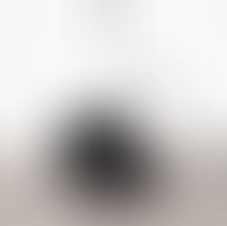 Spotlight: Bota SENK