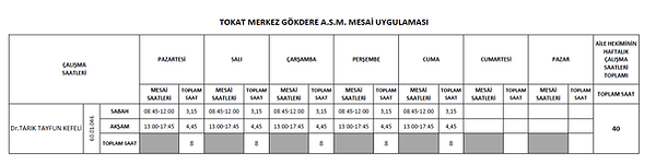 mesai.png