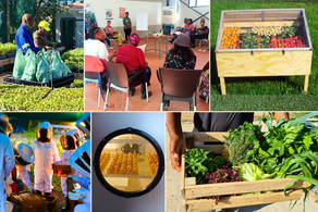 MYDC Empowering young farmers with Siyasiza Trust