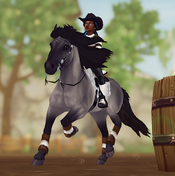 StarStable 2024-05-24 00-01-04.png