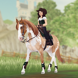 StarStable 2024-08-27 14-22-36.png