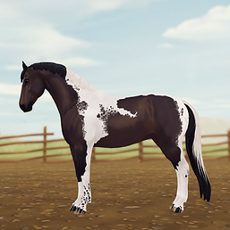 StarStable_2024-05-24_23-23-56.png