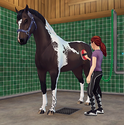 StarStable_2024-05-24_23-31-24.png