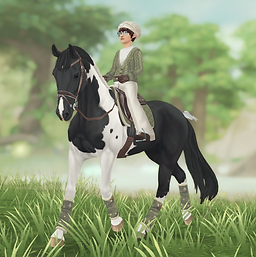 StarStable 2024-05-23 14-34-16.png