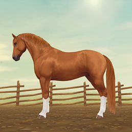 StarStable_2024-11-19_00-13-20.png