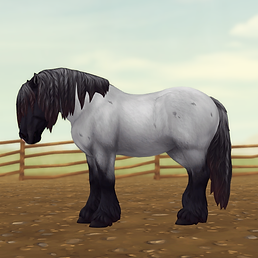 StarStable_2024-06-19_14-21-40.png