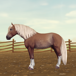 StarStable_2024-11-22_23-38-48.png