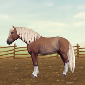StarStable_2024-11-22_23-38-48.png