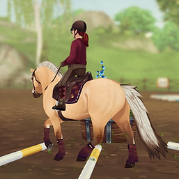 StarStable_2024-06-12_21-50-12.png