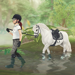 StarStable_2024-05-25_00-04-50.png