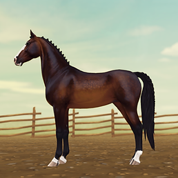 StarStable_2024-11-19_00-36-31.png