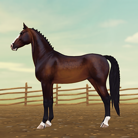 StarStable_2024-11-19_00-36-31.png