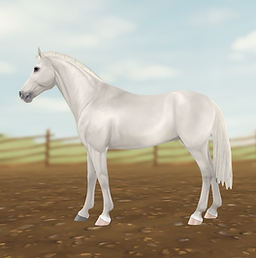 StarStable 2024-11-23 01-28-18.png