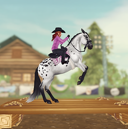 StarStable_2024-11-22_23-15-22.png