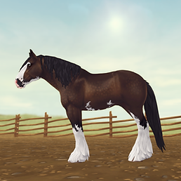 StarStable_2024-11-21_22-44-55.png