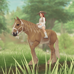 StarStable_2024-08-31_00-03-06.png