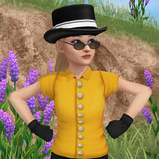 lilaz.png