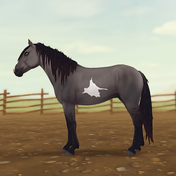 StarStable 2024-06-10 21-06-56.png