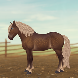 StarStable_2024-11-22_22-18-34.png