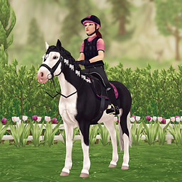 StarStable_2024-08-30_23-38-33.png