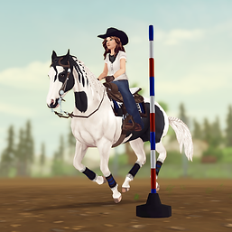 StarStable 2024-06-04 00-46-31.png