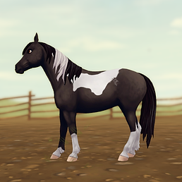 StarStable 2024-06-04 02-03-59.png