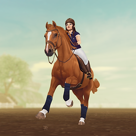 StarStable_2024-11-19_00-09-54.png