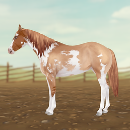 StarStable 2024-08-27 14-27-21.png