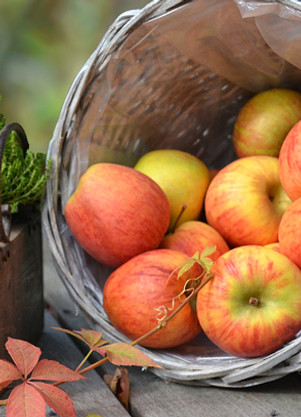 home_apfel.jpg