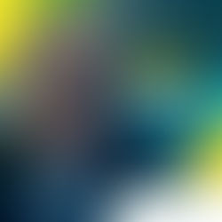 AMEBRASIL em reunião no Palácio do Planalto para discutir projeto para policiais brasileiros