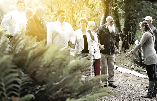 Wedding Day Coordinator located on the Pacific Northwest, beautiful Olympic Peninsula and Rainforest. Great for destination weddings and events. Wedding planner and designer packages Forks Wa