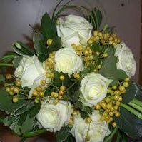 rose consegna adomicilio aurisina