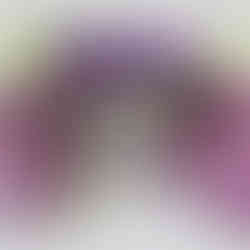 orchidee consegna a domicilio aurisina