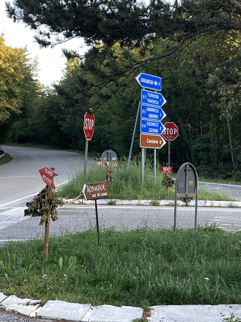 bivio in carso con frasce osmize aperte torte felici locale tipico trieste