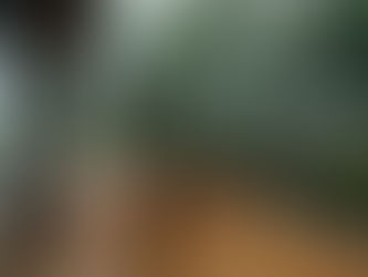 Conheça a Cabana Brisa: Um refúgio de paz e beleza natural