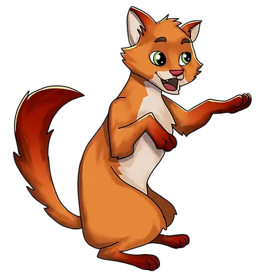 CDA-BM2-MIAU.webp