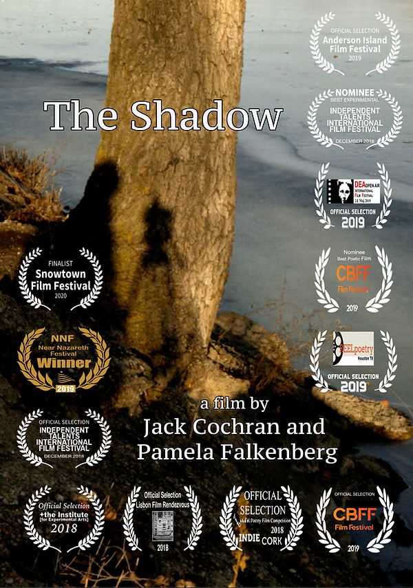 The Shadow Poster w 12 laurels.jpg