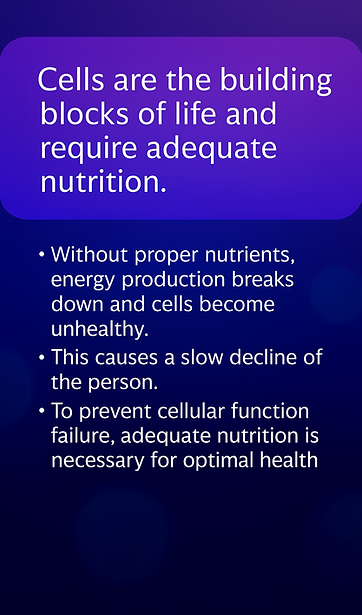 ChatGPT Image Oct 25, 2025, 01_22_10 PM.png