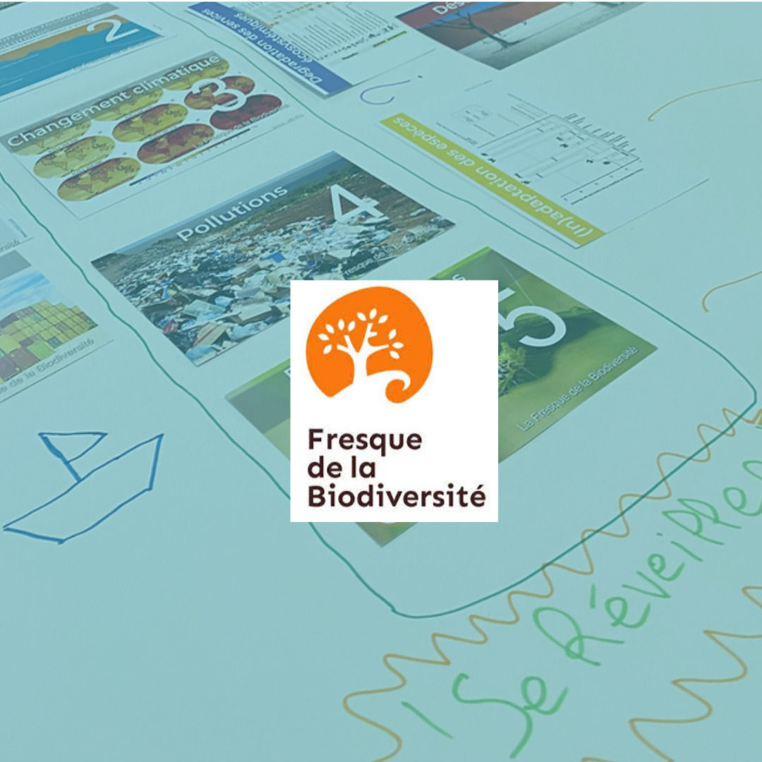 Fresque de la Biodiversité